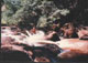 1956, Arroio Pulador, piscina natural